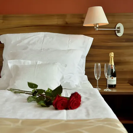 Palcat Hotell